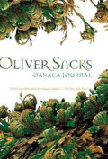 Oaxaca journal